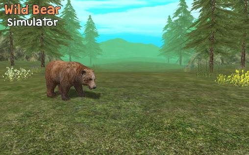 download Wild bear simulator 3D apk